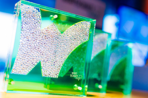 Trophäe Wirtschaft hilft-Award