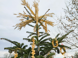 Ein geschmückter Weihnachtsbaum mit Erntekrone und essbaren Dekorationen.