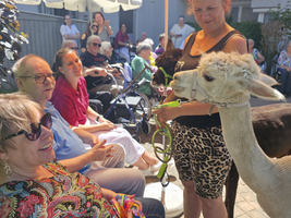 Eine Gruppe von Senioren sitzt im Freien, während eine Frau ein Alpaka an einer Leine hält. Einige Senioren lächeln und interagieren mit dem Tier, das neugierig aussieht. Im Hintergrund sind weitere Personen zu sehen, die der Szene zuschauen.
