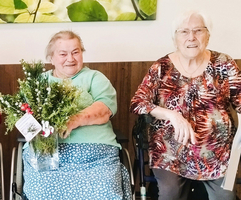 Ältere Frauen gestalten mit Pflanzen und Zweigen ein kreatives Projekt.