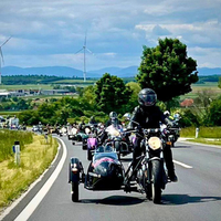 Motorradkonvoi mit Gespannen auf einer kurvenreichen Straße in der Natur.