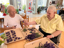 Zwei ältere Männer binden gemeinsam Lavendel in einem Gemeinschaftsraum.