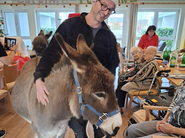 Ein Mann mit Weihnachtsmütze streichelt einen Esel in einem Altersheim.