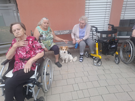Vier ältere Frauen sitzen auf einer Bank im Freien, während ein kleiner Hund vor ihnen auf dem Boden sitzt. Einige Frauen nutzen Rollstühle, und im Hintergrund sind weitere Rollstühle sichtbar. Die Stimmung ist entspannt und freundlich.