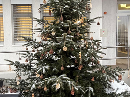 Ein geschmückter Weihnachtsbaum mit Tannenzapfen und Schneeschicht.