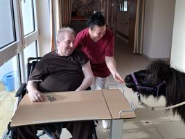 Eine Pflegekraft füttert ein Pferdchen, während ein Patient im Rollstuhl zuschaut.