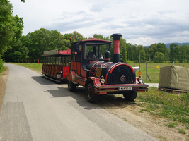 Ein roter Aussichtstram mit einem vorderen Teil, der wie eine Lokomotive aussieht, steht auf einer Straße, die von Bäumen gesäumt ist. Im Hintergrund sind grüne Wiesen zu sehen. Der Himmel ist bewölkt.