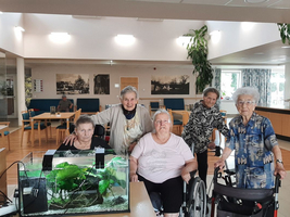 Fünf ältere Frauen bei einem Treffen in einem gemeinschaftlichen Raum.