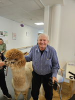 Ein älterer Mann steht in einem Flur mit einem Rollator und lächelt, während er einen Alpakastier streichelt. Im Hintergrund sind weitere Personen und einige Kunstwerke an der Wand zu sehen.