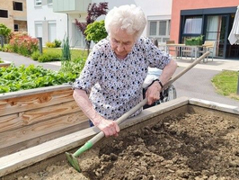 Eine ältere Frau bearbeitet mit einer Harke die Erde in einem Hochbeet, umgeben von Pflanzen und einem modernen Wohngebäude im Hintergrund. Sie trägt ein helles Oberteil und hat graue Haare.