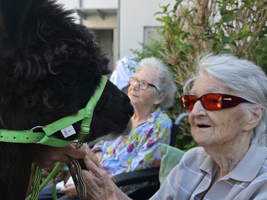 Eine ältere Frau mit Brille spricht mit einem Lama, das an einem grünen Geschirr gehalten wird. Im Hintergrund sitzen zwei weitere ältere Frauen. Die Szene spielt sich in einem Garten ab, umgeben von Pflanzen.
