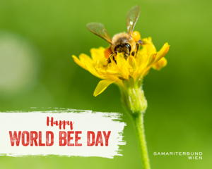 Makroaufnahme Biene auf gelber Blume, viel grün im Hintergrund, Swusch mit Text: Happy World Bee Day