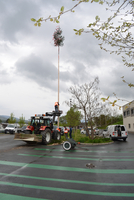 Ein Traktor hebt einen geschmückten Baum auf einen hohen Pfahl.