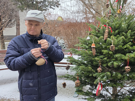 Ein Mann dekoriert einen Weihnachtsbaum mit Tannenzapfen und bunten Anhängern.