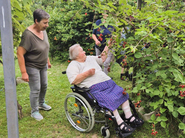 Eine Frau im Rollstuhl pflückt Beeren mit Hilfe einer anderen Frau.