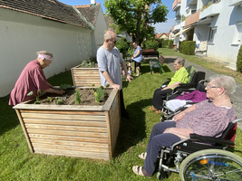 Ältere Menschen gärtnern gemeinsam in einem Garten mit Hochbeeten.
