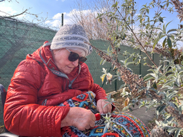 Eine ältere Frau in einer roten Jacke und einer Mütze schneidet mit einer Schere an einer Pflanze, während sie auf einem Rollstuhl sitzt. Sie trägt eine Sonnenbrille und ist in eine bunte Decke gehüllt. Im Hintergrund ist eine grüne Wand und ein blauer Himmel zu sehen.
