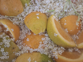 Orange- und Limettenscheiben in einer Schüssel mit Holunderblüten.