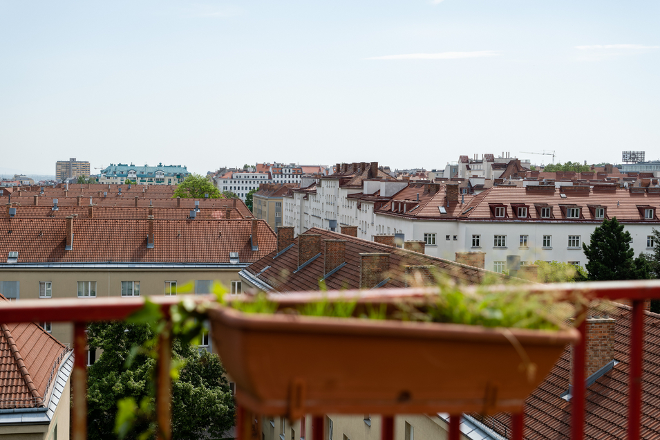 Ausblick von Haus-SAMA über die Dächer von Wien, Wohnungslosenhilfe, 