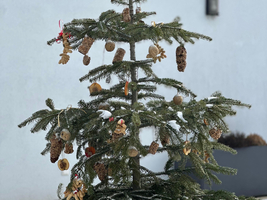 Ein dekorierter Weihnachtsbaum mit Naturmaterialien steht vor einer Wand.