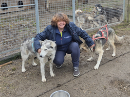 Eine Frau kniet zwischen zwei Huskys in einem Gehege.