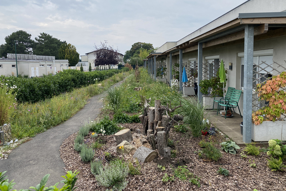 Ein schmaler Weg führt an mehreren Terrassen des Pflegekompetenzzentrums vorbei, umgeben von üppigem Grün und Garten. Auf der linken Seite ist ein Bereich mit hohen Gräsern und Blumen, während auf der rechten Seite einige Baumstümpfe als Insektenhäuser zu sehen sind. Der Garten zeigt hohe Biodiversität auf.