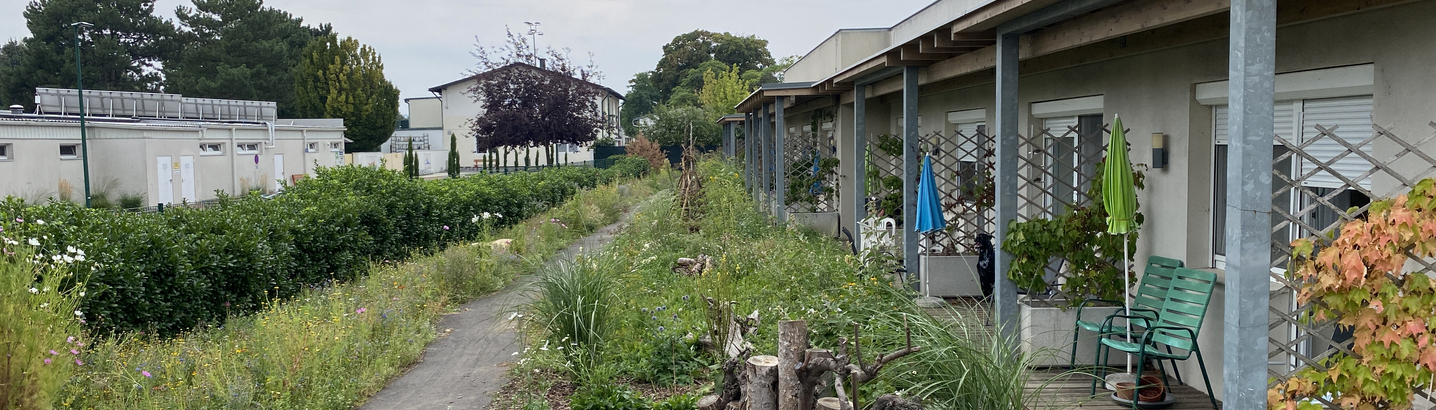 Ein schmaler Weg führt an mehreren Terrassen des Pflegekompetenzzentrums vorbei, umgeben von üppigem Grün und Garten. Auf der linken Seite ist ein Bereich mit hohen Gräsern und Blumen, während auf der rechten Seite einige Baumstümpfe als Insektenhäuser zu sehen sind. Der Garten zeigt hohe Biodiversität auf.