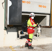 Rettungskraft mit einem Hund steht an einem beschädigten Gebäude.