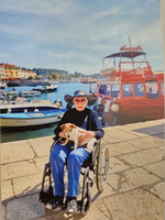 Eine Person im Rollstuhl sitzt am Hafen, hält einen kleinen Hund auf dem Schoß. Im Hintergrund sind Boote und ein rotes Boot zu sehen, während das Wasser im Sonnenlicht glitzert.