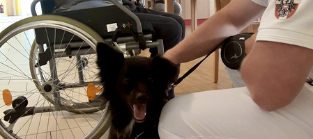 Ein schwarzer Hund sitzt neben einem Rollstuhl und wird gestreichelt.