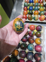Bunte Ostereier in Hand, weitere Eier im Hintergrund auf Carton.