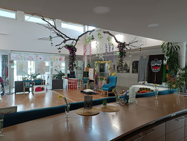 Ein heller Innenraum mit moderner Einrichtung, dekoriert mit Pflanzen und bunten Kunstwerken. Im Vordergrund eine Bar mit dekorativen Elementen. Im Hintergrund sind Sitzgelegenheiten und eine entspannte Atmosphäre zu sehen. Die Wände sind mit bunten Zeichnungen geschmückt.