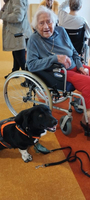 Ältere Frau im Rollstuhl mit einem freundlichen Hund an ihrer Seite.