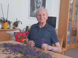 Ein älterer Mann sitzt an einem Tisch, umgeben von frischem Lavendel. Er hält einen Lavendelstrauß in der Hand und lächelt. Im Hintergrund sind Zimmerpflanzen und ein großes Bild einer lächelnden Person zu sehen.
