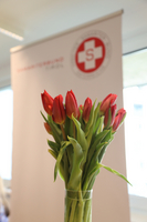 Ein Blumengesteck mit roten Tulpen in einer Vase vor einem weißen Hintergrund, der ein Logo mit einem roten Kreuz zeigt.