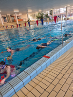 Schwimmer mit Schnorchelausrüstung trainieren in einem Innenpool.