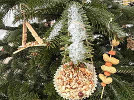 Ein geschmückter Weihnachtsbaum mit essbaren Ornamenten und festlicher Dekoration.