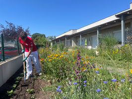Eine Person mit rotem Shirt und weißen Hosen arbeitet im Garten. Sie verwendet eine Gartenschaufel, um den Boden aufzulockern. Um sie herum blühen bunte Blumen in einem schönen Garten unter blauem Himmel. Im Hintergrund ist ein Gebäude sichtbar.