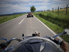 Ein Blick von einem Motorrad auf eine Landstraße. Im Vordergrund ist das Motorradlenkrad zu sehen, während ein Trike vor der Maschine fährt. Im Hintergrund sind Wiesen und ein Baum, unter einem klaren blauen Himmel mit wenigen Wolken sichtbar.