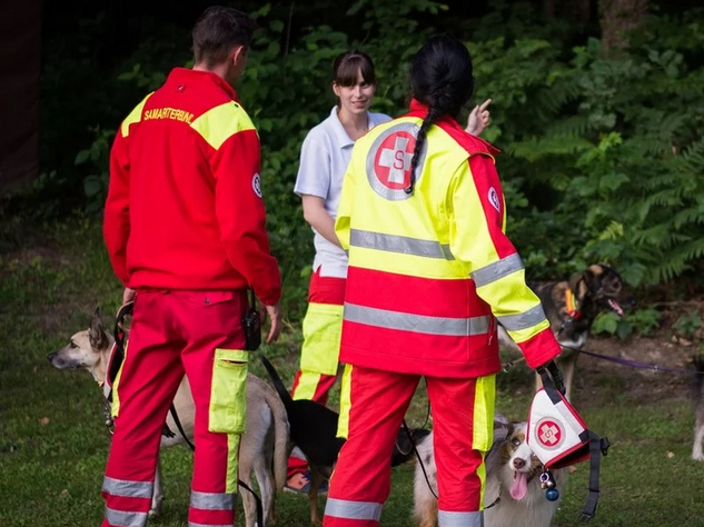 Drei Rettungshundeführer:innen und zwei Rettungshunde bei einer Übung