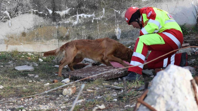 SA-RRT-Rettungshundeführer mit Rettungshund bei einer Übung