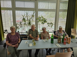 Vier ältere Personen sitzen an einem Tisch in einem Raum mit großen Fenstern. Sie haben Getränke vor sich und wirken entspannt. Im Hintergrund sind Pflanzen und Stühle zu sehen. Der Raum ist hell und freundlich gestaltet.