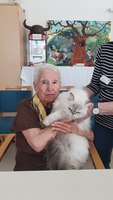 Bewohnerin mit Katze