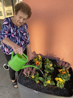 Eine ältere Frau gießt bunte Blumen mit einer grünen Gießkanne.