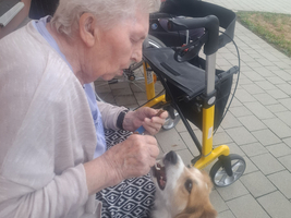 Eine ältere Frau sitzt draußen und füttert einen kleinen Hund. Im Hintergrund sind andere Seniorinnen zu sehen, die ebenfalls im Freien sitzen. Ein Rollator steht neben der Frau.