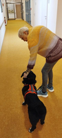 Eine Frau streichelt einen Hund in einem hellen Flur.