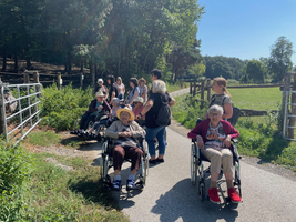 Gruppe von älteren Menschen im Rollstuhl auf einem sonnigen Weg im Freien.