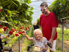 Ältere Dame mit Rollator pflückt gemeinsam mit einem Mann Erdbeeren.