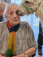 Eine ältere Frau mit einem bunten Schal sitzt lächelnd, während ein Lama ihr vorsichtig näher kommt. Der Hintergrund zeigt eine helle Umgebung mit weiteren Personen, die nicht im Fokus stehen.