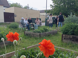 Eine Gruppe von Menschen sitzt in einem Gemeinschaftsgarten, umgeben von Pflanzen und Blumen. Einige Personen stehen, während andere an Tischen sitzen. Im Vordergrund blühen orangefarbene Mohnblumen zwischen den grünen Pflanzen. Der Garten wirkt einladend und lebhaft.